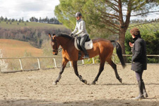 Italy-Tuscany-Dressage and Trail in Tuscany